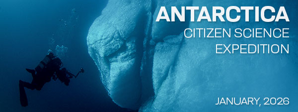 Antarctica Citizen Science Expedition - January 9-22, 2026