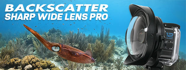 GoPro HERO 9 Best Underwater Photography Settings - Underwater Photography  - Backscatter