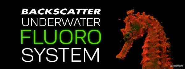 The Backscatter Underwater Fluorescence Strobe & Lighting System