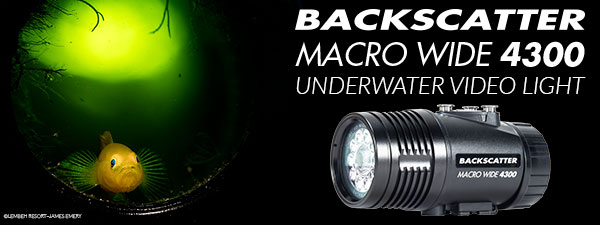 Best Underwater Video Light - The Backscatter Macro Wide 4300 Has You Covered