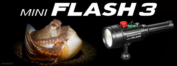 Best Underwater Compact Strobe - Backscatter Mini Flash 3