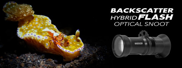 Backscatter Hybrid Flash Underwater Optical Snoot Review