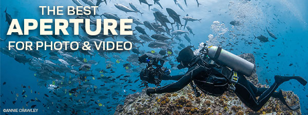 What Is The Best Aperture For Underwater Photography & Video?