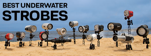 Best Underwater Lighting of 2023: Strobes & Flashes
