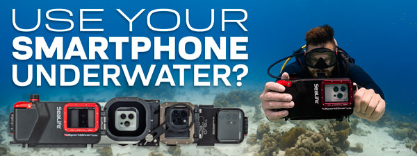 Best Smartphone & iPhone Underwater Housings of 2025