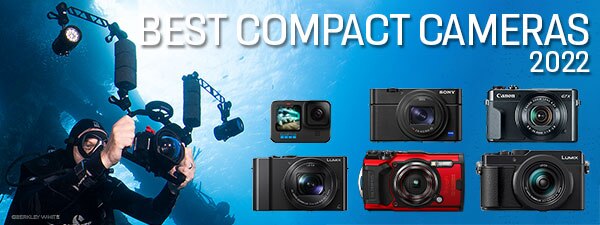 Best Underwater Compact Cameras of the Year