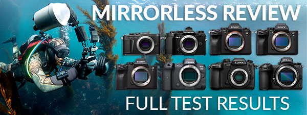 Best Mirrorless Underwater Cameras of the Year