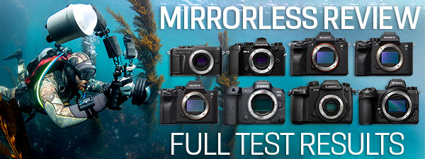 Best Underwater Cameras of 2023: Mirrorless Cameras