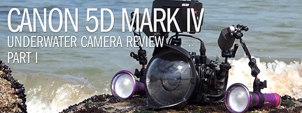 Budget Underwater Cinema - Canon 5D MarkIV Underwater Review