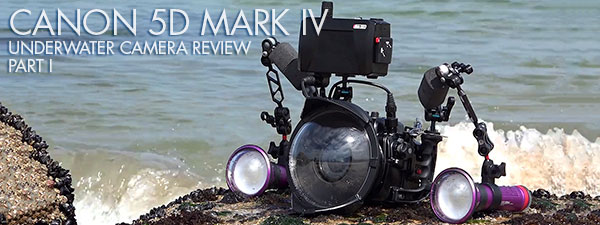 Canon 5D Mark IV Underwater Camera Review Part I