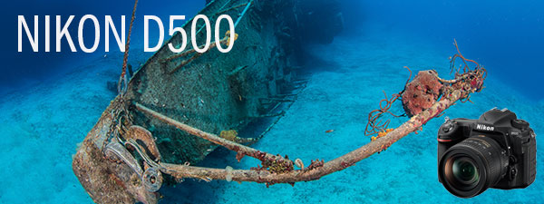 Nikon D500 Underwater Camera Review