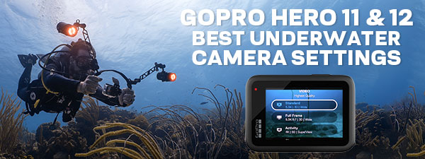 Complete Guide for GoPro HERO 11 & 12 Best Underwater Video & Photo Settings