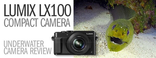 Panasonic Lumix LX100 Underwater Camera Review