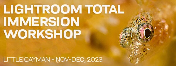 Lightroom Total Immersion Workshop - Nov 25-Dec 2 & Dec 2-9, 2023
