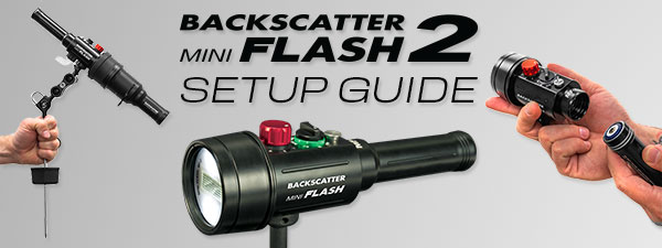 Backscatter Mini Flash 2 – How-To Guide