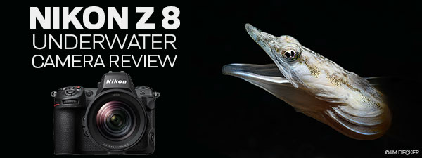 Nikon Z8 review