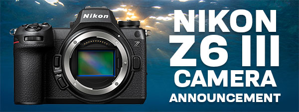 Nikon Z6 III Mirrorless Camera & Underwater Housing