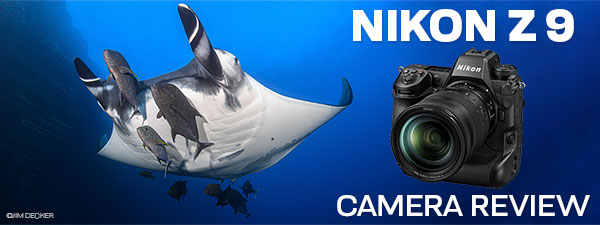 Nikon Z9 Underwater Camera Review