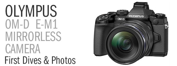  Olympus OM-D E-M1 Camera Review - First Dives and Photos