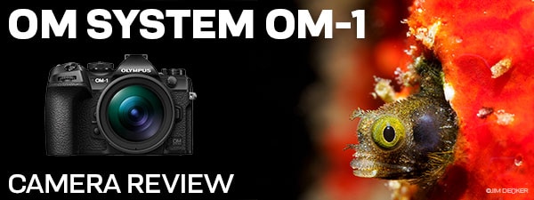 The Best Micro 4/3 Photo Camera To Date: OM System OM-1