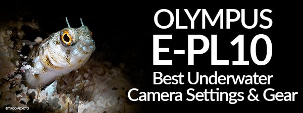 Olympus PEN E-PL10 Best Underwater Camera Settings & Gear