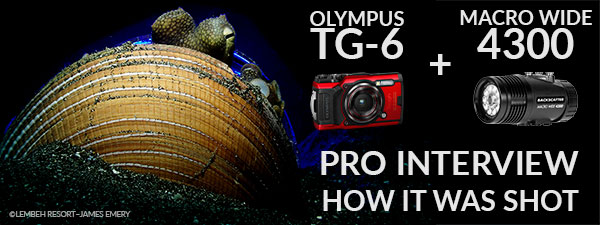 olympus tg 6 backscatter