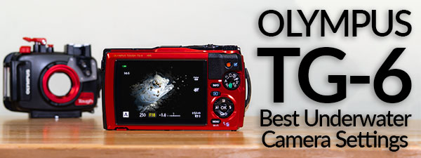 Olympus TG-6 Best Underwater Camera Settings