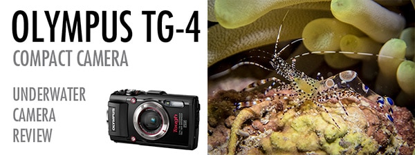 Olympus Tough TG-4 Underwater Test and Review