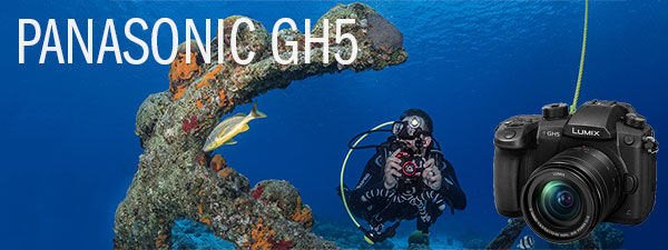 Panasonic GH5 Underwater Camera & Housing Review