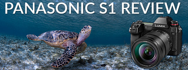 Panasonic LUMIX S1 Underwater Camera Review