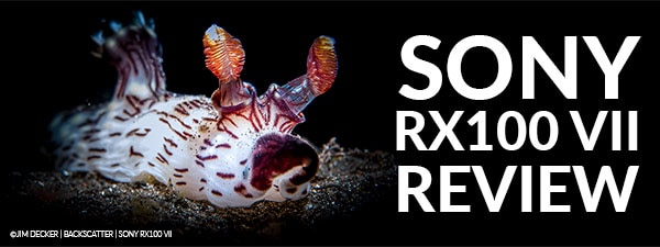 Sony RX100 VII Underwater Camera Review