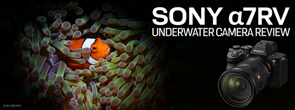 Sony a7R V Underwater Camera Review