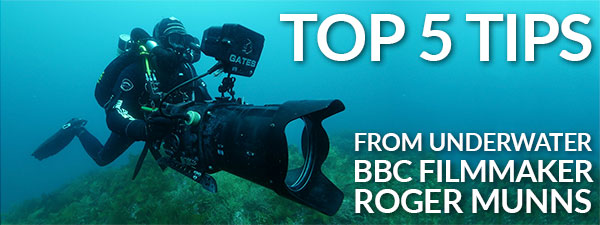 Top 5 Tips From a BBC Underwater Filmmaker