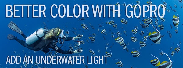 Want Color? Add an Underwater Light to Your GoPro!