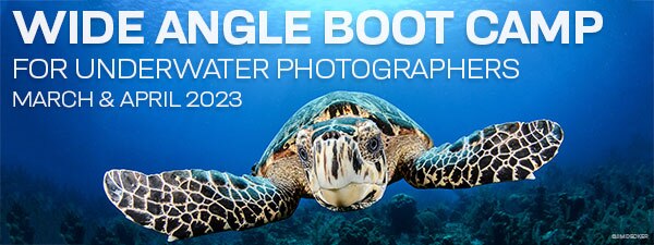 Wide Angle Underwater Photography Boot Camp - Little Cayman - March 18-25 & March 25-April 1, 2023