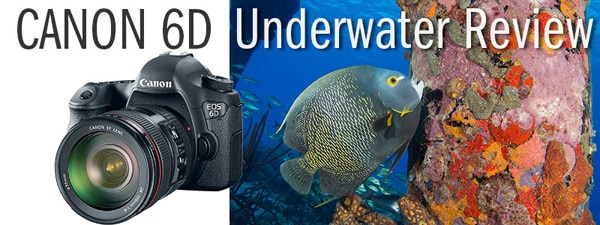 Canon 6D Underwater Camera Review