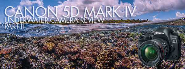 Canon 5D Mark IV Underwater Camera Review Part II