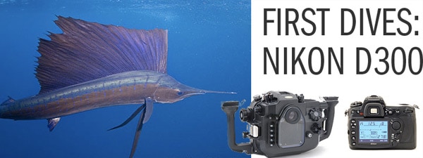 First dives with the Nikon D300