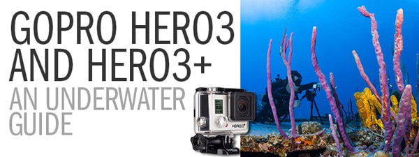 A Guide to Using the GoPro Hero3 / Hero3+ Underwater