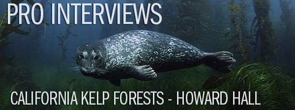 Pro Interview - Howard Hall on California Kelp Forests