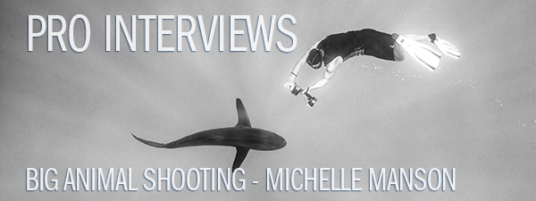 Interview - Socorro Islands with Michelle Manson