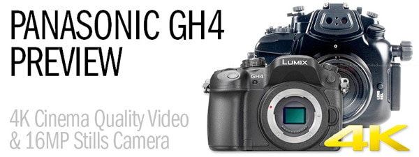 Panasonic GH4 Preview - 4K Revolution