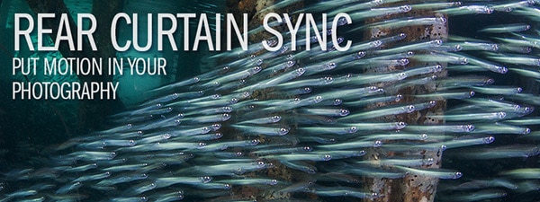 Rear Curtain Sync - Put motion in your underwater photography