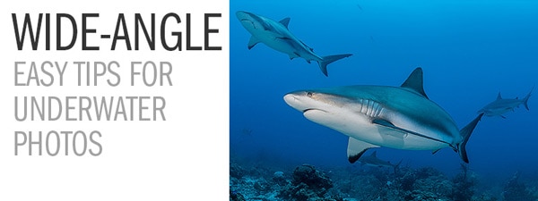 Wide-Angle – Easy Tips for Underwater Photos