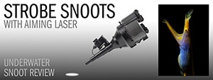 10Bar Strobe Snoots - Underwater Snoot Review