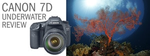 Canon 7D Underwater Housing Review