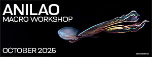 Macro & Blackwater Underwater Photography Workshops – Crystal Blue Resort – Anilao Philippines – October 12-22, 2025