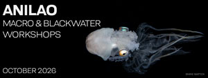 Macro & Blackwater Underwater Photography Workshops – Crystal Blue Resort – Anilao Philippines – October 11-21, 2026