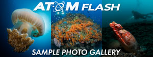 Backscatter Atom Flash Sample Photo Gallery