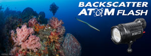 Backscatter Atom Flash Underwater Strobe Review